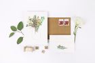 Everlasting Flowers collection